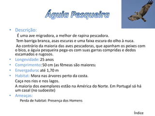 • Descrição:
     É uma ave migradora, a melhor de rapina pescadora.
    Tem barriga branca, asas escuras e uma faixa escura do olho à nuca.
    Ao contrário da maioria das aves pescadoras, que apanham os peixes com
    o bico, a águia pesqueira pega-os com suas garras compridas e dedos
    escamados e rugosos.
•   Longevidade: 25 anos
•   Comprimento: 50 cm (as fêmeas são maiores)
•   Envergadura: até 1,70 m
•   Habitat: Mora nas árvores perto da costa.
    Caça nos rios e nos lagos.
    A maioria dos exemplares estão na América do Norte. Em Portugal só há
    um casal (no sudoeste)
•   Ameaças:
      Perda de habitat: Presença dos Homens


                                                                   Índice
 