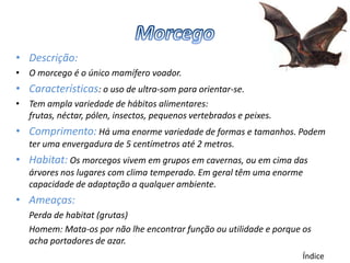 • Descrição:
• O morcego é o único mamífero voador.
• Características: o uso de ultra-som para orientar-se.
• Tem ampla variedade de hábitos alimentares:
  frutas, néctar, pólen, insectos, pequenos vertebrados e peixes.
• Comprimento: Há uma enorme variedade de formas e tamanhos. Podem
   ter uma envergadura de 5 centímetros até 2 metros.
• Habitat: Os morcegos vivem em grupos em cavernas, ou em cima das
   árvores nos lugares com clima temperado. Em geral têm uma enorme
   capacidade de adaptação a qualquer ambiente.
• Ameaças:
   Perda de habitat (grutas)
   Homem: Mata-os por não lhe encontrar função ou utilidade e porque os
   acha portadores de azar.
                                                                    Índice
 