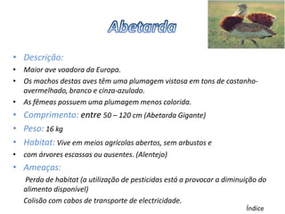 • Descrição:
• Maior ave voadora da Europa.
• Os machos destas aves têm uma plumagem vistosa em tons de castanho-
  avermelhado, branco e cinza-azulado.
• As fêmeas possuem uma plumagem menos colorida.
• Comprimento: entre 50 – 120 cm (Abetarda Gigante)
• Peso: 16 kg
• Habitat: Vive em meios agrícolas abertos, sem arbustos e
• com árvores escassas ou ausentes. (Alentejo)
• Ameaças:
   Perda de habitat (a utilização de pesticidas está a provocar a diminuição do
   alimento disponível)
   Colisão com cabos de transporte de electricidade.
                                                                        Índice
 
