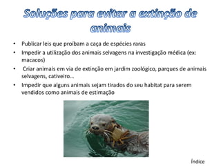 • Publicar leis que proíbam a caça de espécies raras
• Impedir a utilização dos animais selvagens na investigação médica (ex:
  macacos)
• Criar animais em via de extinção em jardim zoológico, parques de animais
  selvagens, cativeiro…
• Impedir que alguns animais sejam tirados do seu habitat para serem
  vendidos como animais de estimação




                                                                    Índice
 