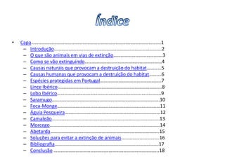 •   Capa…………………………………………………………………………………………….1
     – Introdução…………………………………………………………………………….2
     – O que são animais em vias de extinção………………………………….3
     – Como se vão extinguindo………………………………………………………4
     – Causas naturais que provocam a destruição do habitat…………5
     – Causas humanas que provocam a destruição do habitat……….6
     – Espécies protegidas em Portugal…………………………………………..7
     – Lince Ibérico………………………………………………………………………....8
     – Lobo Ibérico………………………………………………………………………….9
     – Saramugo…………………………………………………………………………….10
     – Foca-Monge…………………………………………………………………………11
     – Águia Pesqueira……………………………………………………………………12
     – Camaleão…………………………………………………………………………….13
     – Morcego………………………………………………………………………………14
     – Abetarda……………………………………………………………………………..15
     – Soluções para evitar a extinção de animais………………………….16
     – Bibliografia………………………………………………………………………….17
     – Conclusão …………………………………………………………………………..18
 