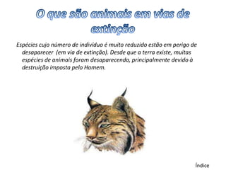 Espécies cujo número de indivíduo é muito reduzido estão em perigo de
  desaparecer (em via de extinção). Desde que a terra existe, muitas
  espécies de animais foram desaparecendo, principalmente devido à
  destruição imposta pelo Homem.




                                                                    Índice
 