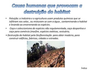 • Poluição: a Indústria e a agricultura usam produtos químicos que se
   infiltram nos solos , ou misturam-se com a água , contaminando o habitat
   e levando ao envenenando as espécies.
• Caça e coleccionismo de espécies não regulamentada, caça desportiva e
   caça para comércio (marfim, espécies exóticas, vestuário,
• Destruição do habitat pela Desflorestação para obter madeira, para
   construir edifícios, fabricas, cidades e estradas.




                                                                     Índice
 