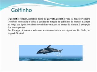 O  golfinho-comum ,  golfinho-nariz-de-garrafa ,  golfinho-roaz  ou  roaz-corvineiro  ( Tursiops truncatus )  é  talvez a conhecida espécie de golfinhos do mundo. Existem ao longo das  á guas costeiras e oceânicas em todos os mares do planeta,  à  excep ç ão dos mares polares.  Em Portugal,  é  comum avistar-se roazes-corvineiros nas  á guas do Rio Sado, ao largo de Set ú bal. 