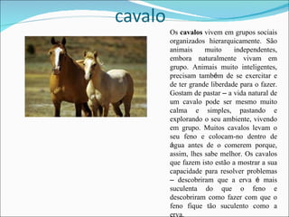 Os  cavalos  vivem em grupos sociais organizados hierarquicamente. São animais muito independentes, embora naturalmente vivam em grupo. Animais muito inteligentes, precisam tamb é m de se exercitar e de ter grande liberdade para o fazer. Gostam de pastar  –  a vida natural de um cavalo pode ser mesmo muito calma e simples, pastando e explorando o seu ambiente, vivendo em grupo. Muitos cavalos levam o seu feno e colocam-no dentro de  á gua antes de o comerem porque, assim, lhes sabe melhor. Os cavalos que fazem isto estão a mostrar a sua capacidade para resolver problemas  –  descobriram que a erva  é  mais suculenta do que o feno e descobriram como fazer com que o feno fique tão suculento como a erva.  