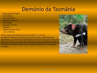 Demónio da Tasmânia
  Nome popular: Diabo
  da Tasmânia
  Nome Científico:
  Sarcophilus harrisii
  Distribuição
  geográfica: Ilha da
  Tasmânia.
  Habitat natural: Zonas
  rurais, desertos.
Tempo médio de vida Estado de conservação a: 7 a 9 anos.
da espécie: O Diabo da Tasmânia foi caçado durante a colonização por
agricultores, que viam os seus galináceos mortos por este animal. Por outro
lado, pensa-se que os Dingos são responsáveis pela erradicação do Diabo da
Tasmânia da Austrália. Actualmente o Diabo da Tasmânia é uma espécie
protegida.




                                                    ANDREIA E SILVANA
 