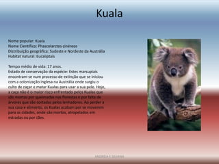Kuala

Nome popular: Kuala
Nome Científico: Phascolarctos cinéreos
Distribuição geográfica: Sudeste e Nordeste da Austrália
Habitat natural: Eucaliptais

Tempo médio de vida: 17 anos.
Estado de conservação da espécie: Estes marsupiais
encontram-se num processo de extinção que se iniciou
com a colonização inglesa na Austrália onde surgiu o
culto de caçar e matar Kualas para usar a sua pele. Hoje,
a caça não é o maior risco enfrentado pelos Kualas que
são mortos por queimadas nas florestas e por falta de
árvores que são cortadas pelos lenhadores. Ao perder a
sua casa e alimento, os Kualas acabam por se moverem
para as cidades, onde são mortos, atropelados em
estradas ou por cães.




                                                  ANDREIA E SILVANA
 