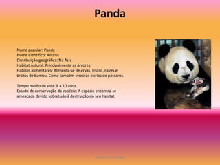 Panda

Nome popular: Panda
Nome Científico: Ailurus
Distribuição geográfica: Na Ásia
Habitat natural: Principalmente as árvores.
Hábitos alimentares: Alimenta-se de ervas, frutos, raízes e
brotos de bambu. Come também insectos e crias de pássaros.

Tempo médio de vida: 8 a 10 anos.
Estado de conservação da espécie: A espécie encontra-se
ameaçada devido sobretudo à destruição do seu habitat.




                                           ANDREIA E SILVANA
 