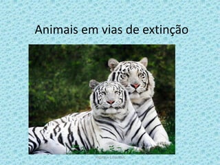 Animais em vias de extinção




          ANDREIA E SILVANA
 