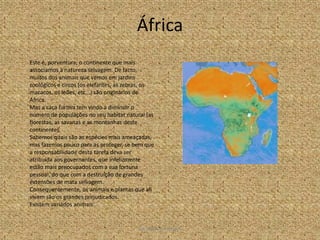 África
Este é, porventura, o continente que mais
associamos à natureza selvagem. De facto,
muitos dos animais que vemos em jardins
zoológicos e circos (os elefantes, as zebras, os
macacos, os leões, etc...) são originários de
África.
Mas a caça furtiva tem vindo a diminuir o
número de populações no seu habitat natural (as
florestas, as savanas e as montanhas deste
continente).
Sabemos quais são as espécies mais ameaçadas,
mas fazemos pouco para as proteger, se bem que
a responsabilidade desta tarefa deva ser
atribuída aos governantes, que infelizmente
estão mais preocupados com a sua fortuna
pessoal, do que com a destruição de grandes
extensões de mata selvagem.
Consequentemente, os animais e plantas que ali
vivem são os grandes prejudicados.
Existem variados animais:


                                          ANDREIA E SILVANA
 