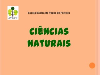 Escola Básica de Paços de Ferreira




Ciências
Naturais
 