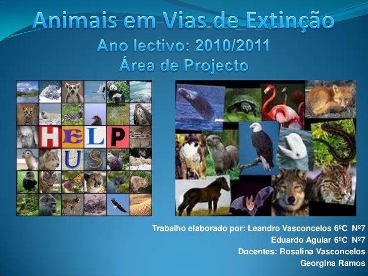 Curso de apresentacao em power point