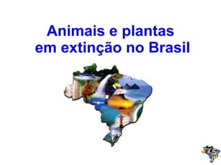 Animais e plantas
em extinção no Brasil

 