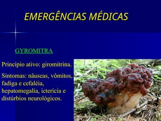 EMERGÊNCIAS MÉDICAS
EMERGÊNCIAS MÉDICAS
GYROMITRA
Princípio ativo: giromitrina.
Sintomas: nâuseas, vômitos,
fadiga e cefaléia,
hepatomegalia, icterícia e
distúrbios neurológicos.
 