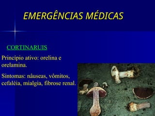EMERGÊNCIAS MÉDICAS
EMERGÊNCIAS MÉDICAS
CORTINARUIS
Princípio ativo: orelina e
orelamina.
Sintomas: nâuseas, vômitos,
cefaléia, mialgia, fibrose renal.
 