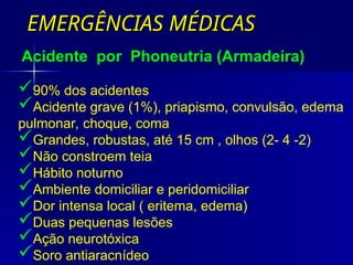 EMERGÊNCIAS MÉDICAS
EMERGÊNCIAS MÉDICAS
90% dos acidentes
Acidente grave (1%), priapismo, convulsão, edema
pulmonar, choque, coma
Grandes, robustas, até 15 cm , olhos (2- 4 -2)
Não constroem teia
Hábito noturno
Ambiente domiciliar e peridomiciliar
Dor intensa local ( eritema, edema)
Duas pequenas lesões
Ação neurotóxica
Soro antiaracnídeo
Acidente por Phoneutria (Armadeira)
 