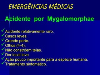 EMERGÊNCIAS MÉDICAS
EMERGÊNCIAS MÉDICAS
Acidente relativamente raro.
Casos leves.
Grande porte.
Olhos (4-4).
Não constróem teias.
Dor local leve.
Ação pouco importante para a espécie humana.
Tratamento sintomático.
Acidente por Mygalomorphae
 