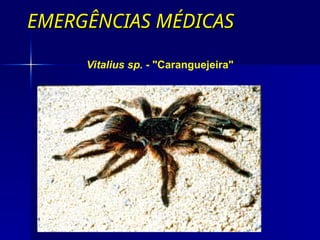 EMERGÊNCIAS MÉDICAS
EMERGÊNCIAS MÉDICAS
Vitalius sp. - "Caranguejeira"
 