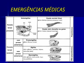 EMERGÊNCIAS MÉDICAS
EMERGÊNCIAS MÉDICAS
 