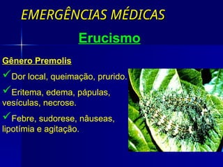 EMERGÊNCIAS MÉDICAS
EMERGÊNCIAS MÉDICAS
Erucismo
Gênero Premolis
Dor local, queimação, prurido.
Eritema, edema, pápulas,
vesículas, necrose.
Febre, sudorese, nâuseas,
lipotímia e agitação.
 