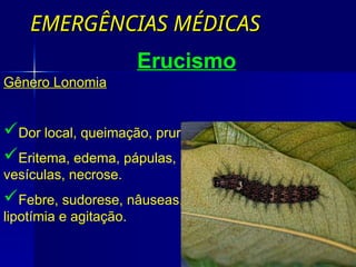 EMERGÊNCIAS MÉDICAS
EMERGÊNCIAS MÉDICAS
Erucismo
Gênero Lonomia
Dor local, queimação, prurido.
Eritema, edema, pápulas,
vesículas, necrose.
Febre, sudorese, nâuseas,
lipotímia e agitação.
 