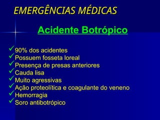 EMERGÊNCIAS MÉDICAS
EMERGÊNCIAS MÉDICAS
Acidente Botrópico
90% dos acidentes
Possuem fosseta loreal
Presença de presas anteriores
Cauda lisa
Muito agressivas
Ação proteolítica e coagulante do veneno
Hemorragia
Soro antibotrópico
 