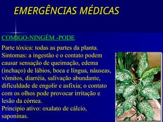 EMERGÊNCIAS MÉDICAS
EMERGÊNCIAS MÉDICAS
IRRITAÇÃO MUCOSA
COMIGO-NINGÉM -PODE
Parte tóxica: todas as partes da planta.
Sintomas: a ingestão e o contato podem
causar sensação de queimação, edema
(inchaço) de lábios, boca e língua, náuseas,
vômitos, diarréia, salivação abundante,
dificuldade de engolir e asfixia; o contato
com os olhos pode provocar irritação e
lesão da córnea.
Princípio ativo: oxalato de cálcio,
saponinas.
 