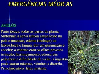 EMERGÊNCIAS MÉDICAS
EMERGÊNCIAS MÉDICAS
COM SEIVA IRRITANTE
AVELÓS
Parte tóxica: todas as partes da planta.
Sintomas: a seiva leitosa causa lesão na
pele e mucosas, edema (inchaço) de
lábios,boca e língua, dor em queimação e
coceira; o contato com os olhos provoca
irritação, lacrimejamento, edema das
pálpebras e dificuldade de visão; a ingestão
pode causar náuseas, vômitos e diarréia.
Princípio ativo: látex irritante.
 