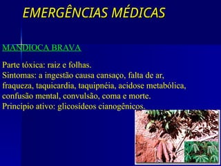 EMERGÊNCIAS MÉDICAS
EMERGÊNCIAS MÉDICAS
VEGETAIS COM GLICOSÍDIOS CIANOGÊNICOS
MANDIOCA BRAVA
Parte tóxica: raiz e folhas.
Sintomas: a ingestão causa cansaço, falta de ar,
fraqueza, taquicardia, taquipnéia, acidose metabólica,
confusão mental, convulsão, coma e morte.
Princípio ativo: glicosídeos cianogênicos.
 