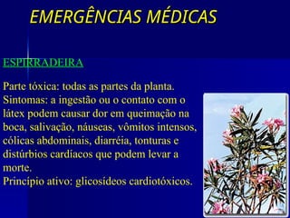 EMERGÊNCIAS MÉDICAS
EMERGÊNCIAS MÉDICAS
VEGETAIS COM GLICOSÍDIOS CARDIOGÊNICOS
ESPIRRADEIRA
Parte tóxica: todas as partes da planta.
Sintomas: a ingestão ou o contato com o
látex podem causar dor em queimação na
boca, salivação, náuseas, vômitos intensos,
cólicas abdominais, diarréia, tonturas e
distúrbios cardíacos que podem levar a
morte.
Princípio ativo: glicosídeos cardiotóxicos.
 