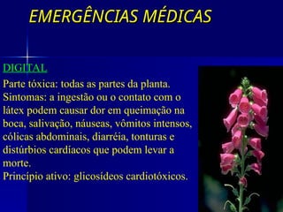 EMERGÊNCIAS MÉDICAS
EMERGÊNCIAS MÉDICAS
VEGETAIS COM GLICOSÍDIOS CARDIOGÊNICOS
DIGITAL
Parte tóxica: todas as partes da planta.
Sintomas: a ingestão ou o contato com o
látex podem causar dor em queimação na
boca, salivação, náuseas, vômitos intensos,
cólicas abdominais, diarréia, tonturas e
distúrbios cardíacos que podem levar a
morte.
Princípio ativo: glicosídeos cardiotóxicos.
 
