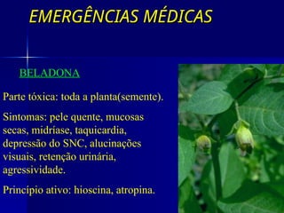EMERGÊNCIAS MÉDICAS
EMERGÊNCIAS MÉDICAS
BELADONA
Parte tóxica: toda a planta(semente).
Sintomas: pele quente, mucosas
secas, midríase, taquicardia,
depressão do SNC, alucinações
visuais, retenção urinária,
agressividade.
Princípio ativo: hioscina, atropina.
 