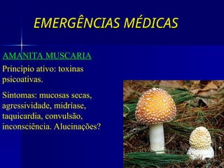 EMERGÊNCIAS MÉDICAS
EMERGÊNCIAS MÉDICAS
AMANITA MUSCARIA
Princípio ativo: toxinas
psicoativas.
Sintomas: mucosas secas,
agressividade, midríase,
taquicardia, convulsão,
inconsciência. Alucinações?
 