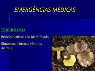 EMERGÊNCIAS MÉDICAS
EMERGÊNCIAS MÉDICAS
TRICHOLOMA
Princípio ativo: não identificado.
Sintomas: nâuseas, vômitos
diarréia.
 