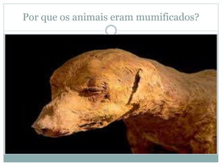 Por que os animais eram mumificados?
 