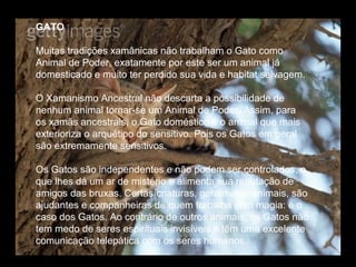 GATO
Muitas tradições xamânicas não trabalham o Gato como
Animal de Poder, exatamente por este ser um animal já
domesticado e muito ter perdido sua vida e habitat selvagem.
O Xamanismo Ancestral não descarta a possibilidade de
nenhum animal tornar-se um Animal de Poder. Assim, para
os xamãs ancestrais, o Gato doméstico é o animal que mais
exterioriza o arquétipo do sensitivo. Pois os Gatos em geral
são extremamente sensitivos.
Os Gatos são independentes e não podem ser controlados, o
que lhes dá um ar de mistério e alimenta sua reputação de
amigos das bruxas. Certas criaturas, geralmente animais, são
ajudantes e companheiras de quem trabalha com magia: é o
caso dos Gatos. Ao contrário de outros animais, os Gatos não
tem medo de seres espirituais invisíveis e têm uma excelente
comunicação telepática com os seres humanos.

 