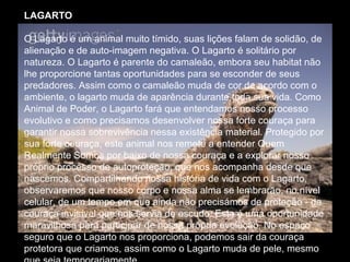 LAGARTO
O Lagarto é um animal muito tímido, suas lições falam de solidão, de
alienação e de auto-imagem negativa. O Lagarto é solitário por
natureza. O Lagarto é parente do camaleão, embora seu habitat não
lhe proporcione tantas oportunidades para se esconder de seus
predadores. Assim como o camaleão muda de cor de acordo com o
ambiente, o lagarto muda de aparência durante toda sua vida. Como
Animal de Poder, o Lagarto fará que entendamos nosso processo
evolutivo e como precisamos desenvolver nossa forte couraça para
garantir nossa sobrevivência nessa existência material. Protegido por
sua forte couraça, este animal nos remete a entender Quem
Realmente Somos por baixo de nossa couraça e a explorar nosso
próprio processo de autoproteção, que nos acompanha desde que
nascemos. Compartilhando nossa história de vida com o Lagarto,
observaremos que nosso corpo e nossa alma se lembrarão, no nível
celular, de um tempo em que ainda não precisámos de proteção - da
couraça invisível que nos servia de escudo. Esta é uma oportunidade
maravilhosa para participar de nossa própria evolução. No espaço
seguro que o Lagarto nos proporciona, podemos sair da couraça
protetora que criamos, assim como o Lagarto muda de pele, mesmo

 