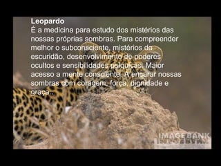 Leopardo
É a medicina para estudo dos mistérios das
nossas próprias sombras. Para compreender
melhor o subconsciente, mistérios da
escuridão, desenvolvimento de poderes
ocultos e sensibilidades psíquicas. Maior
acesso a mente consciente. A encarar nossas
sombras com coragem, força, dignidade e
graça..

 