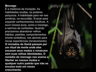 Morcego
É a medicina da Iniciação. As
habilidades ocultas, os poderes
psíquicos. A habilidade para ver nas
sombras, na escuridão. Evocar para
expandir conhecimentos intuitivos. A
ouvir nossos ecos, como o morcego,
e sairmos de confusões. Quando
precisamos abandonar velhos
hábitos, padrões, comportamentos
(morte simbólica), nos abrindo para
novas experiências (renascimento).
O iniciados do Xamã passam por
um ritual de morte onde eles
encaram seus medos e renascem
sem suas velhas identidades. O
remédio do morcego nos ensina a
libertar os nossos medos e
qualquer outro padrão que não se
encaixa mais em nosso
crescimento.

 