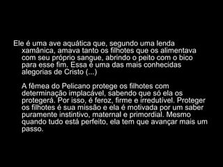 Ele é uma ave aquática que, segundo uma lenda
xamânica, amava tanto os filhotes que os alimentava
com seu próprio sangue, abrindo o peito com o bico
para esse fim. Essa é uma das mais conhecidas
alegorias de Cristo (...)
A fêmea do Pelicano protege os filhotes com
determinação implacável, sabendo que só ela os
protegerá. Por isso, é feroz, firme e irredutível. Proteger
os filhotes é sua missão e ela é motivada por um saber
puramente instintivo, maternal e primordial. Mesmo
quando tudo está perfeito, ela tem que avançar mais um
passo.

 