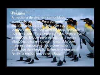 Pingüim
A medicina de viver em comunidade,
adaptação ao novo. Para aumentar a
sociabilidade, para ser feliz com seu
companheiro (a), fidelidade conjugal, lealdade
nos romances. Para preservar relacionamentos
e relações. Evocar para se adaptar à novas
situações, para enriquecer nossa vida com
maiores relacionamentos e com maior
qualidade de interação. Entender a energia
feminina no homem, paternidade.

 