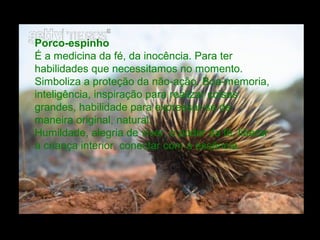 Porco-espinho
É a medicina da fé, da inocência. Para ter
habilidades que necessitamos no momento.
Simboliza a proteção da não-ação. Boa-memoria,
inteligência, inspiração para realizar coisas
grandes, habilidade para expressar-se de
maneira original, natural.
Humildade, alegria de viver, o poder da fé, liberar
a criança interior, conectar com a essência.

 