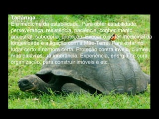 Tartaruga
É a medicina da estabilidade. Para obter estabilidade,
perseverança, resistência, paciência, conhecimento
ancestral, sabedoria, proteção. Evocar o poder medicinal da
longevidade e a ligação com a Mãe-Terra. Para estar no
lugar certo e na hora certa. Proteção contra inveja, ciúmes,
más palavras, da ignorância. Experiência, energia de cura,
organização, para construir imóveis e etc.

 