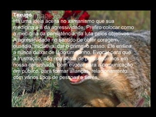 Texugo
Há uma idéia aceita no xamanismo que sua
medicina é a da agressividade. Prefiro colocar como
a medicina da persistência, da luta pelos objetivos.
A agressividade no sentido de obter coragem,
ousadia, iniciativa, dar o primeiro passo. Ele ensina
a nunca deixar de lado um sonho. Evocar para que
a frustração, não nos abata de prosseguirmos em
nossa caminhada. Bom evocar para a comunicação
em público, para formar alianças, relacionamento
com vários tipos de pessoas e seres.

 