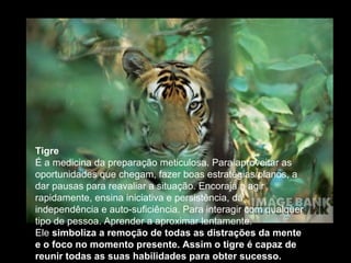 Tigre
É a medicina da preparação meticulosa. Para aproveitar as
oportunidades que chegam, fazer boas estratégias/planos, a
dar pausas para reavaliar a situação. Encoraja a agir
rapidamente, ensina iniciativa e persistência, dá
independência e auto-suficiência. Para interagir com qualquer
tipo de pessoa. Aprender a aproximar lentamente.
Ele simboliza a remoção de todas as distrações da mente
e o foco no momento presente. Assim o tigre é capaz de
reunir todas as suas habilidades para obter sucesso.

 