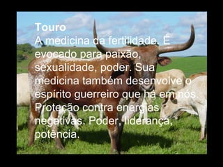 Touro
A medicina da fertilidade. É
evocado para paixão,
sexualidade, poder. Sua
medicina também desenvolve o
espírito guerreiro que há em nós.
Proteção contra energias
negativas. Poder, liderança,
potência.

 
