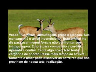 Veado - Gentileza, camuflagem, graça e atenção. Sua
mensagem é o amor incondicional. Este animal lhe
diz para usar menos força e não confrontar seu
inimigo agora. É hora para compaixão e perdão.
Aprenda a confiar. Tente algo novo, Não tenha
vergonha de chorar. Passe mais tempo ao ar livre.
Somente o amor pode dissolver as barreiras que nos
previnem de nossa total realização.

 