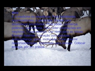 Alce
É a medicina da resistência. Para habilidades
organizacionais, e gerenciais. Evocar para
estabelecer prioridades. Para poder, confiança,
potência, auto-estima. Para obter orientações em
negócios. Trazer energia. Dar ritmo para as coisas.
Energia fraternal. Interação com pessoas.
Autoconfiança, garra, motivação. Para assumir
responsabilidades. Habilidade para delegar. Colocar
energia, pôr em prática.

 