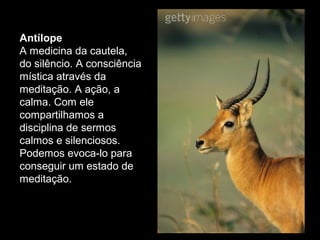 Antílope
A medicina da cautela,
do silêncio. A consciência
mística através da
meditação. A ação, a
calma. Com ele
compartilhamos a
disciplina de sermos
calmos e silenciosos.
Podemos evoca-lo para
conseguir um estado de
meditação.

 