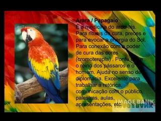 Arara / Papagaio
É a medicina do arco-íris.
Para rituais de cura, preces e
para evocar a energia do Sol.
Para conexão com o poder
de cura das cores
(cromoterapia) . Ponte entre
o reino dos pássaros e o
homem. Ajuda no senso de
diplomacia. Excelente para
trabalhar a retórica,
comunicação com o público,
palestras, aulas,
apresentações, etc.

 